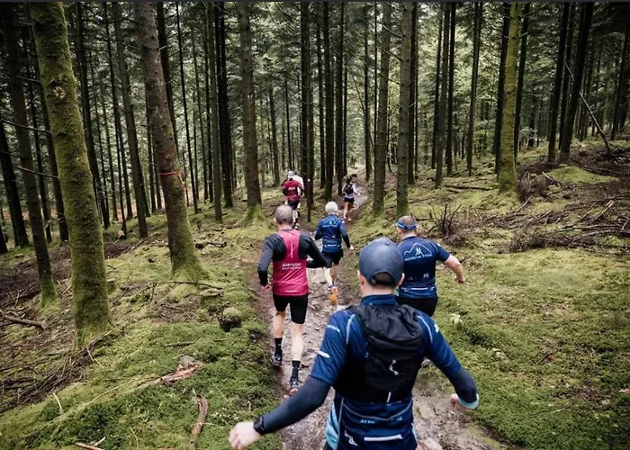 Holiday home Chez Sev Et Ludo Sarceaux